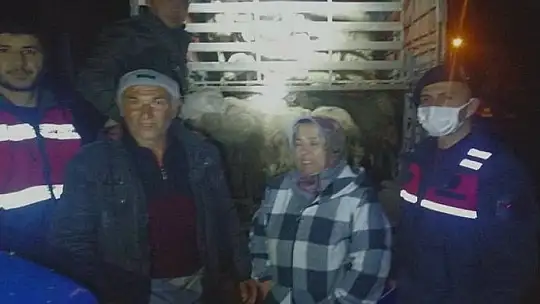 Balya'dan çalınan koyunlar Kepsut'ta ele geçirildi