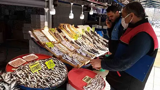 Bandırma balık hali denetimden geçti