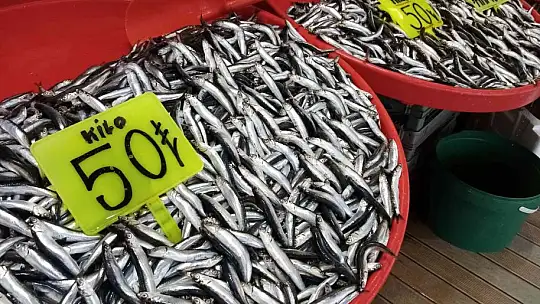 Bandırma balık halinde balık miktarı arttı, fiyatları düştü