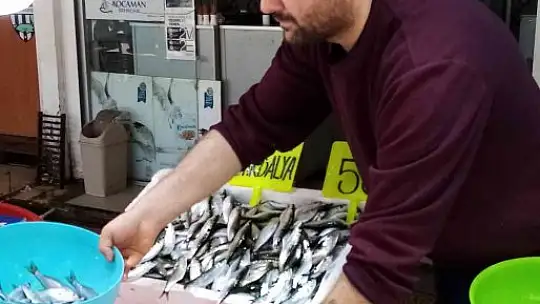 Bandırma balık halinde balık miktarı arttı, fiyatları düştü