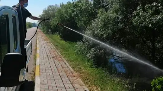 Bandırma Belediyesi haşereler için teyakkuzda