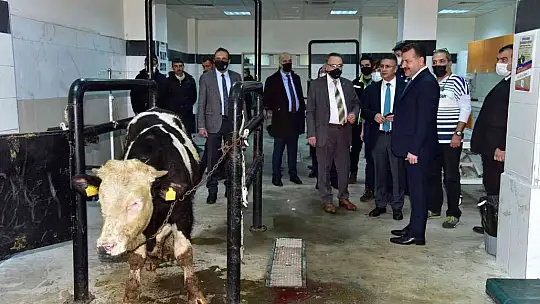 BAÜN'de Hayvan Hastanesinde yeni yatırım