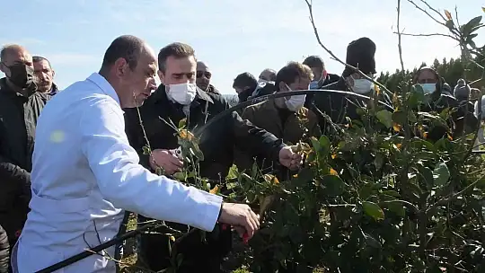 Burhaniye'de Kaymakam Memiş kursiyerleri ziyaret etti, budama yaptı