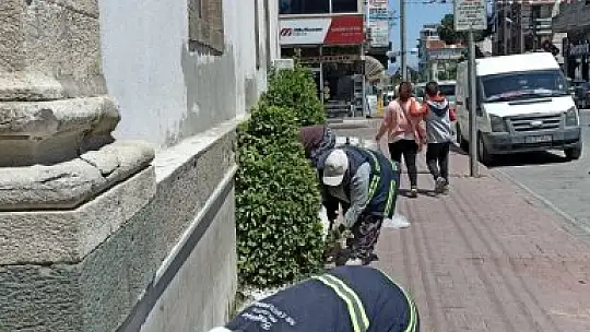 Burhaniye'de yabani otlar temizleniyor