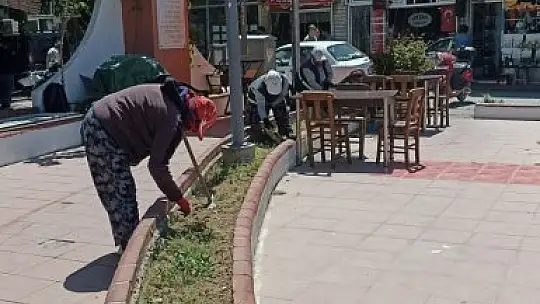 Burhaniye'de yabani otlar temizleniyor