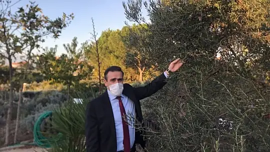 Burhaniye Kaymakamı zeytinyağı işletme ziyaretlerine devam ediyor