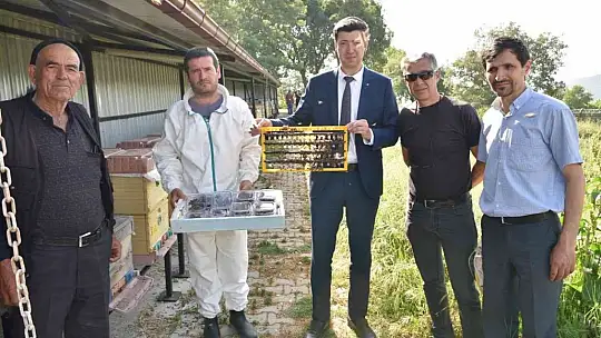 Büyükşehir'inin ana arıları yeni evlerine uçtu