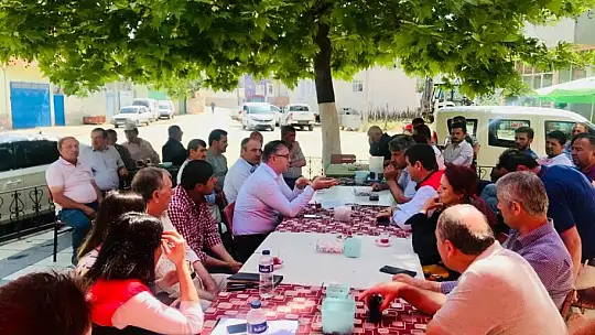 Ceviz fidanları bir çok ülkeye ihrac ediliyor