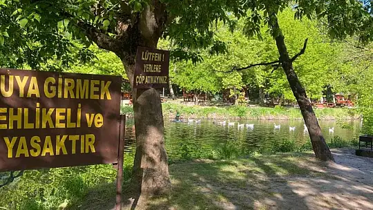 Domuz sürüsü tabiat parkına indi