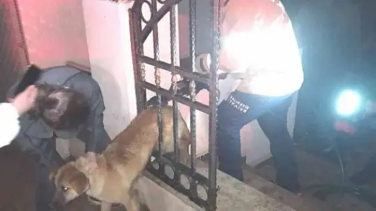 Erdek'te kapı demirine sıkışan köpeğin imdadına itfaiye yetişti