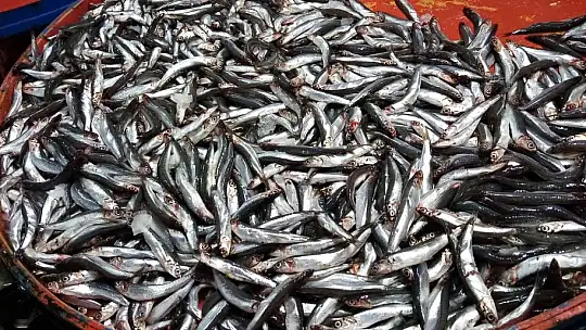 Fırtına balık tezgahlarına esti