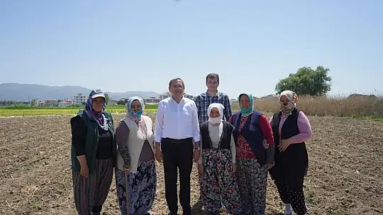 Kadınların dikimini yaptığı organik ürünler Ayvalık'ta toprak ile buluştu
