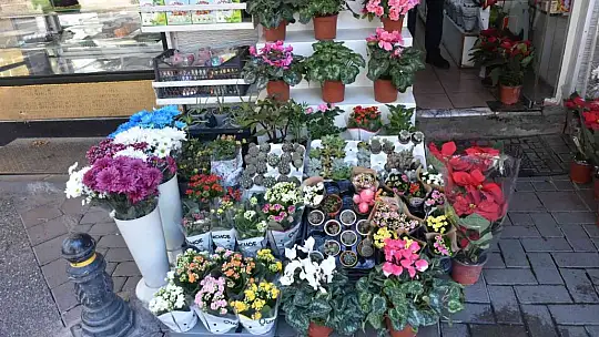 Karanfilin adedi 10 lirayı buldu