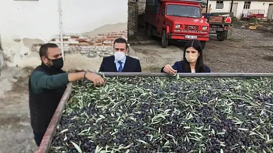 Kaymakam Memiş, zeytinyağı işletmesini ziyaret etti