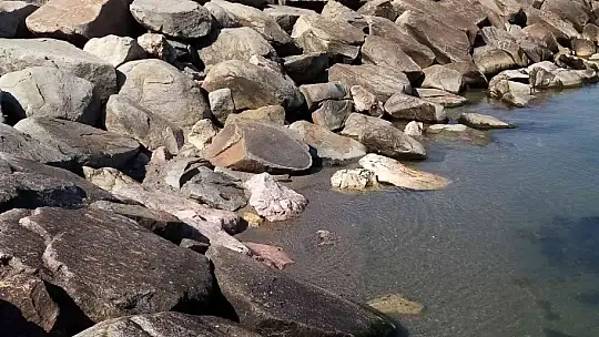 Lodos esti, deniz yerine geldi