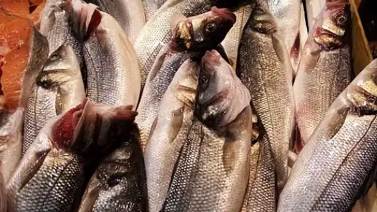 Lodos levrek getirdi