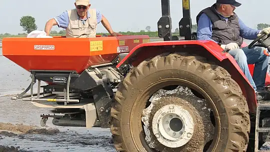 Manyas'ta çeltik ekimleri başladı