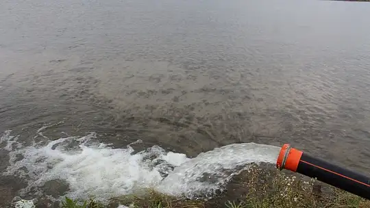 Manyas'ta çeltik ekimleri başladı