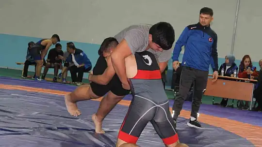 Manyas'ta güreşi yaygınlaştırma şenliği