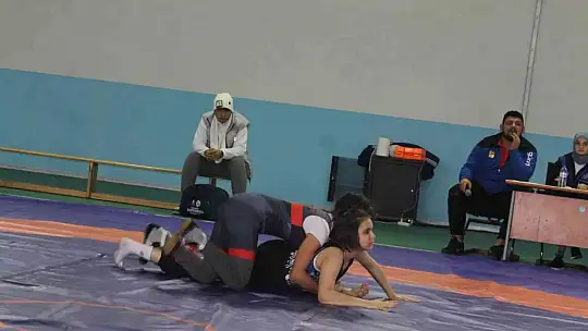 Manyas'ta güreşi yaygınlaştırma şenliği