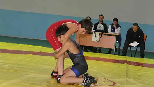 Manyas'ta güreşi yaygınlaştırma şenliği