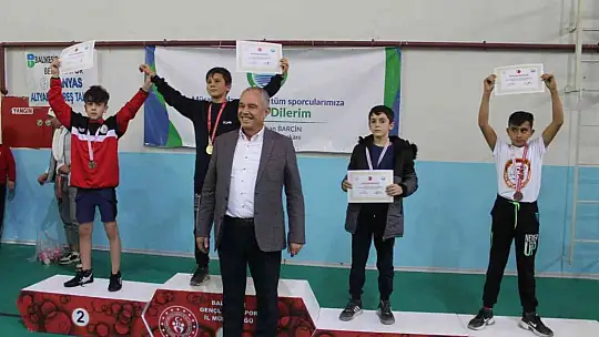 Manyas'ta güreşi yaygınlaştırma şenliği