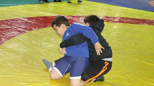 Manyas'ta güreşi yaygınlaştırma şenliği