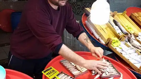 Marmara'da Mayıs ayında hamsi sürprizi