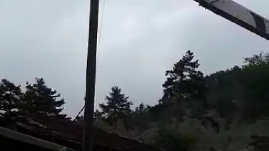 Önce direkte mahsur kaldı, sonra inmemek için direndi