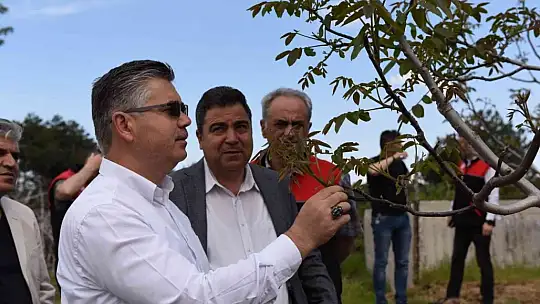 Organik köy, çok yakında Balıkesir'de