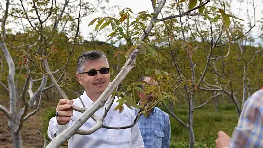 Organik köy, çok yakında Balıkesir'de