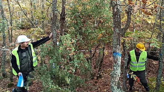 Ormanlarda uygulamalı eğitim