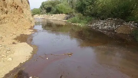 (Özel) Atık maddeden, dünyanın en değerli etken maddelerinden birini ürettiler