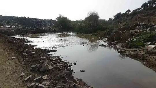 (Özel) Atık maddeden, dünyanın en değerli etken maddelerinden birini ürettiler