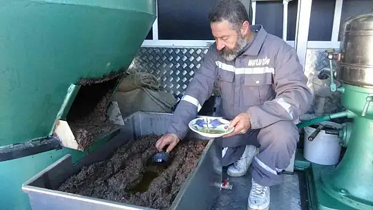 (Özel) Bu da zeytin sütü