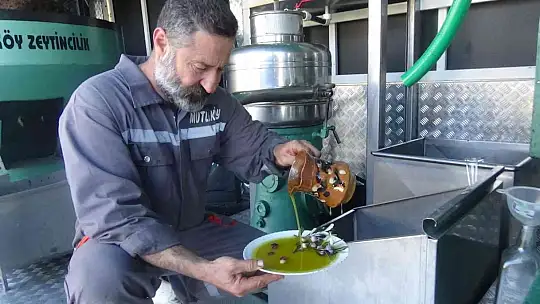 (Özel) Bu da zeytin sütü