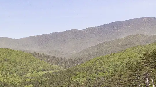 (Özel Haber) Kazdağları'nda adeta polen fırtınası yaşandı