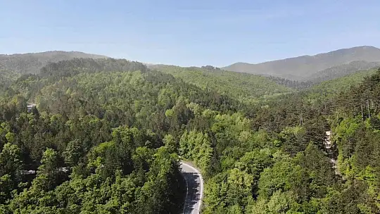 (Özel Haber) Kazdağları'nda adeta polen fırtınası yaşandı