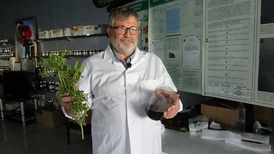 (Özel) Semizotu tohumundan bitkisel omega 3 ilaç etken maddesi üretiyorlar