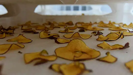 Sındırgı'dan dünyaya jeotermalle sağlıklı gıda