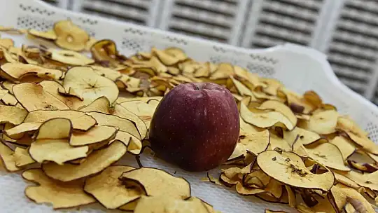 Sındırgı'dan dünyaya jeotermalle sağlıklı gıda