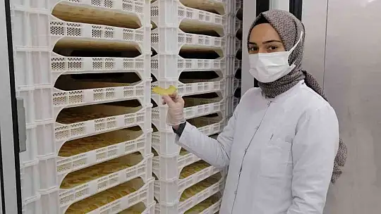 Sındırgı'dan dünyaya jeotermalle sağlıklı gıda