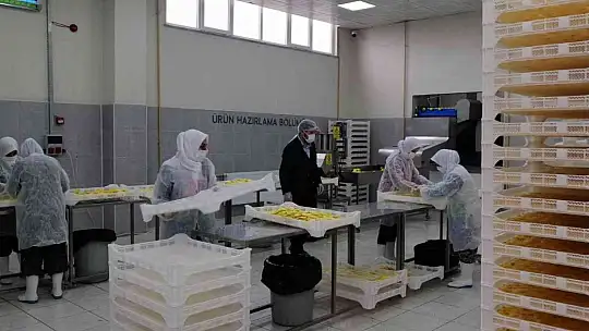 Sındırgı'dan dünyaya jeotermalle sağlıklı gıda