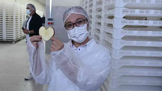 Sındırgı'dan dünyaya jeotermalle sağlıklı gıda