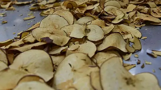 Sındırgı'dan dünyaya jeotermalle sağlıklı gıda