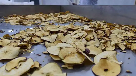 Sındırgı'nın adı jeotermalle üretilen sağlıklı gıda ile duyulacak