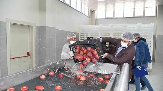 Sındırgı'nın adı jeotermalle üretilen sağlıklı gıda ile duyulacak