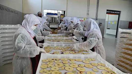 Sındırgı'nın adı jeotermalle üretilen sağlıklı gıda ile duyulacak