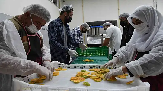 Sındırgı'nın adı jeotermalle üretilen sağlıklı gıda ile duyulacak