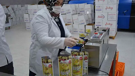 Sındırgı'nın adı jeotermalle üretilen sağlıklı gıda ile duyulacak